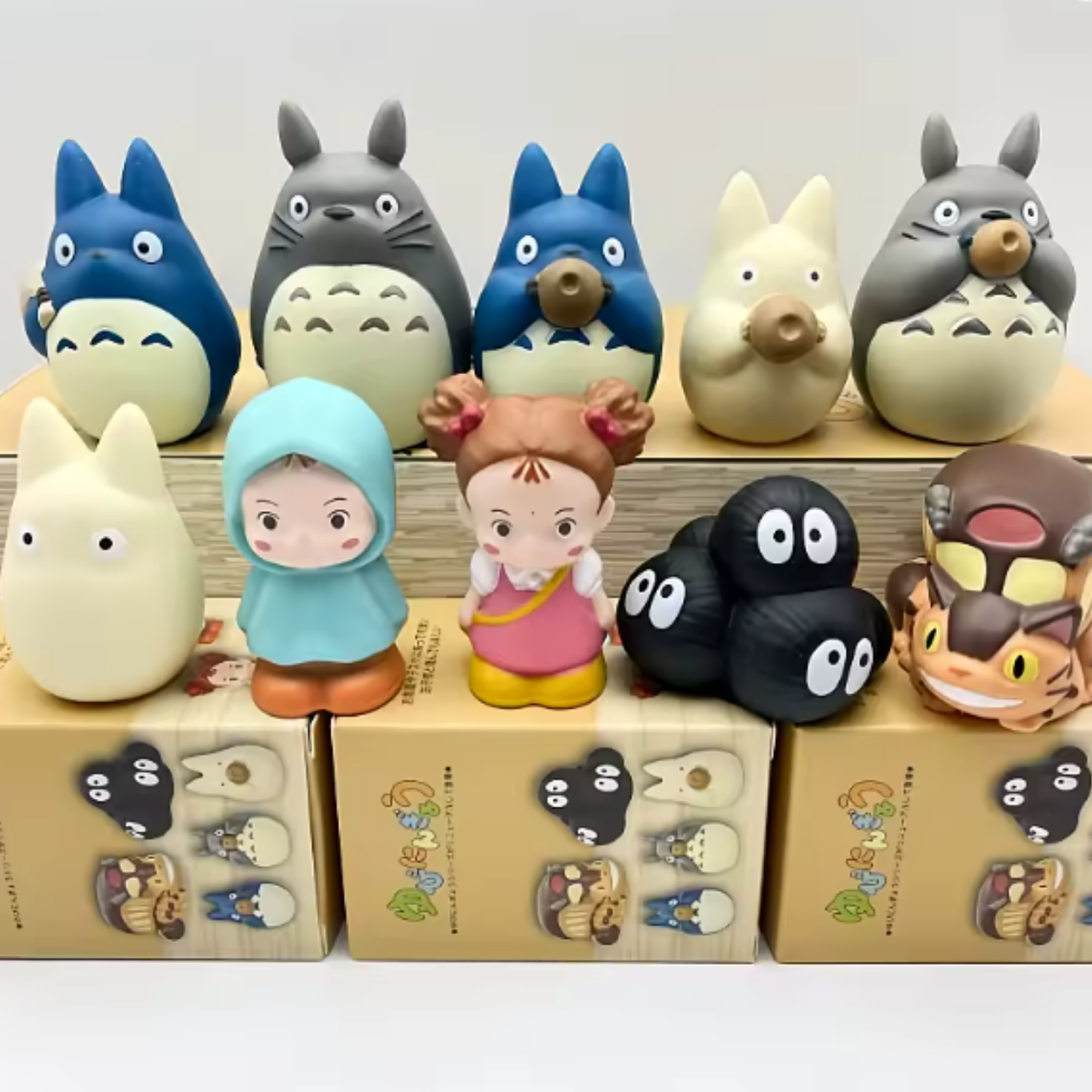 Blind Box Totoro 🌿